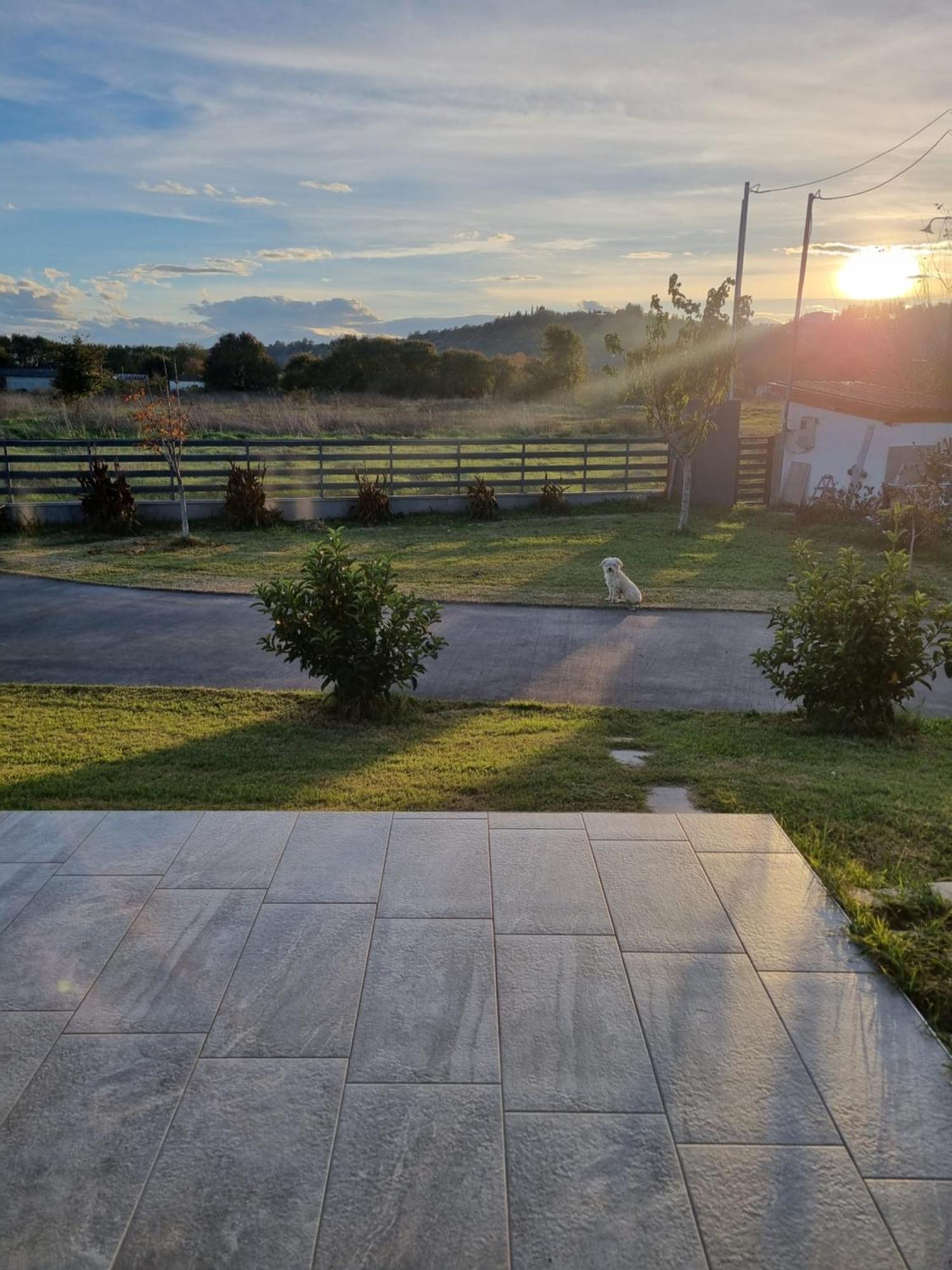 Β & Β Farmhouse Trikala  Exterior photo